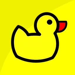 Duck DNS Application Icon