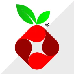 Pi-hole Application Icon